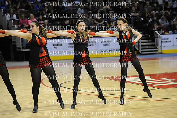 TDIHS12_EXHIB_03026