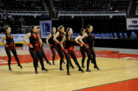 TDIHS12_EXHIB_03015