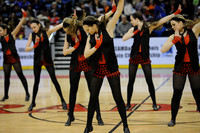 TDIHS12_EXHIB_03013