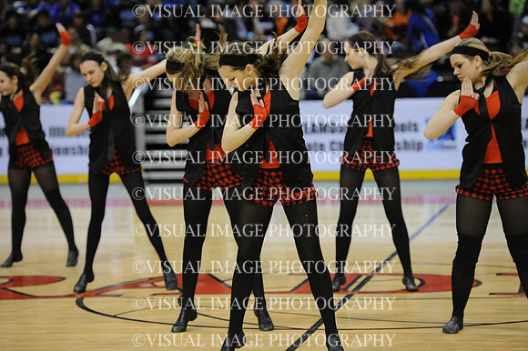 TDIHS12_EXHIB_03013