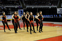 TDIHS12_EXHIB_03014