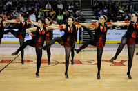 TDIHS12_EXHIB_03019