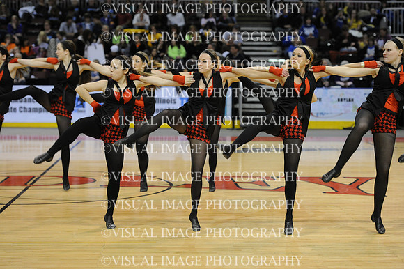 TDIHS12_EXHIB_03019
