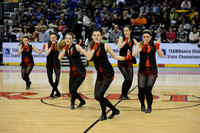 TDIHS12_EXHIB_03009