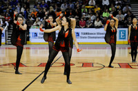 TDIHS12_EXHIB_03005