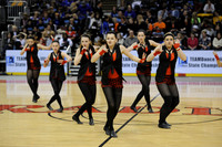TDIHS12_EXHIB_03008