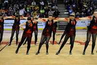 TDIHS12_EXHIB_03018