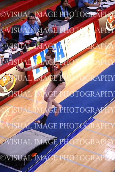 ILGYMG_23_VAULT_P0016