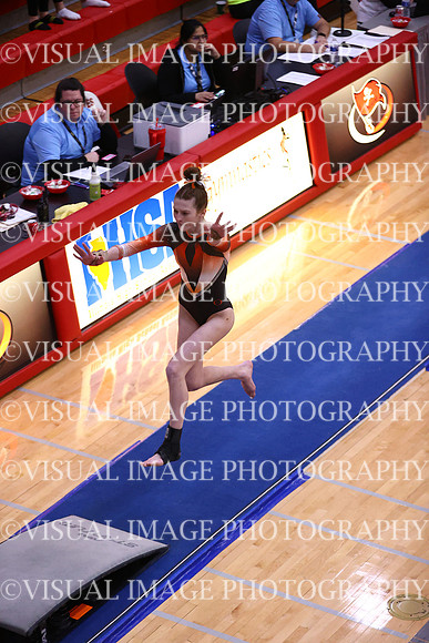 ILGYMG_23_VAULT_P0015