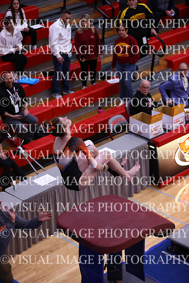 ILGYMG_23_VAULT_P0030