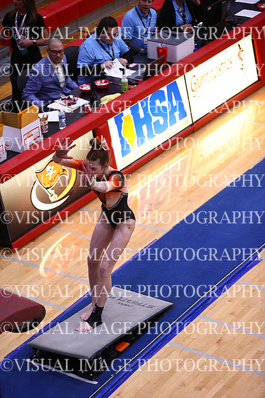 ILGYMG_23_VAULT_P0040