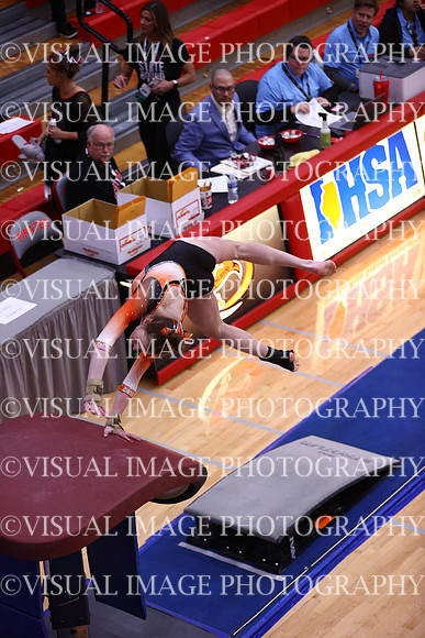 ILGYMG_23_VAULT_P0043