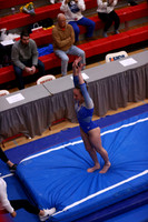 Vault