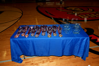 ILVB_26_IVCA17