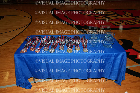 ILVB_26_IVCA17
