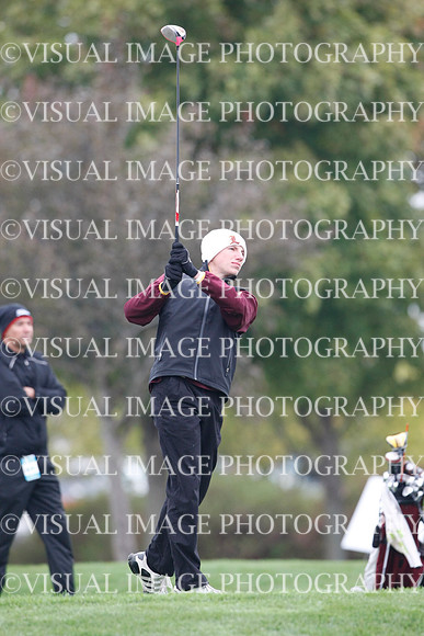ILGF_13_IND30041