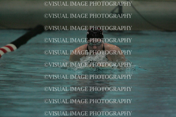 wiswg09_1breast_2040