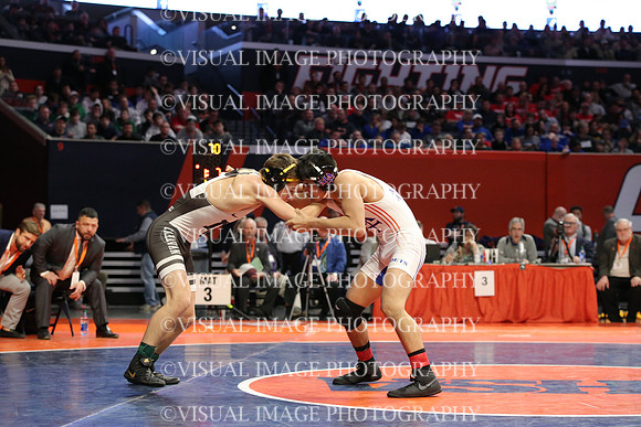 ILIWR20_113_F31021