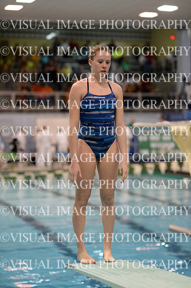 ILSWG13_DIVE_021