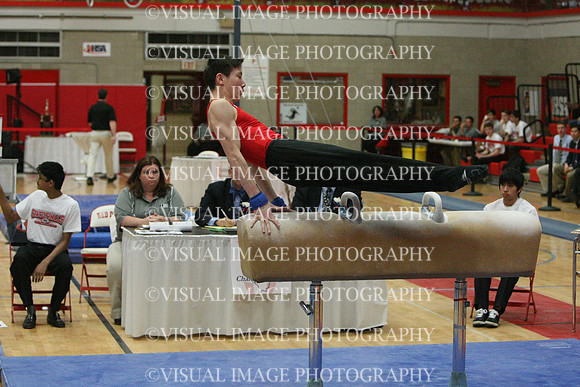 ILGYM14_PHORSE_I066