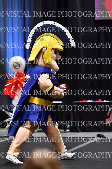 018_T8_33713