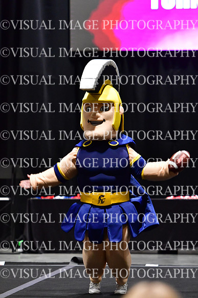 018_T8_33715