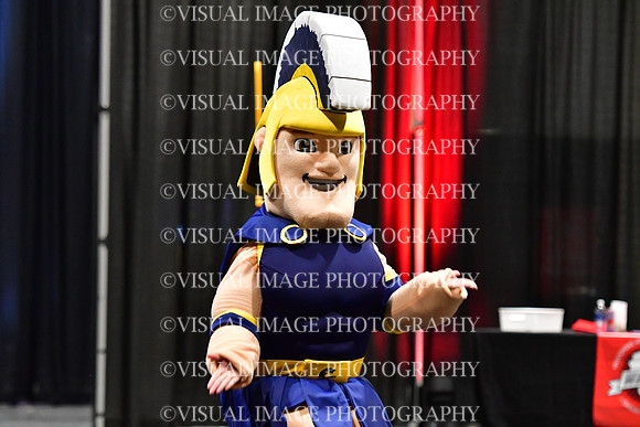 018_T8_33723