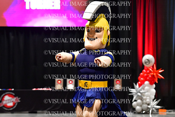 018_T8_33727