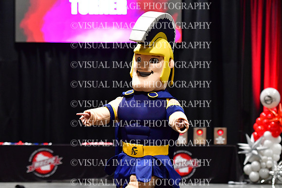 018_T8_33728