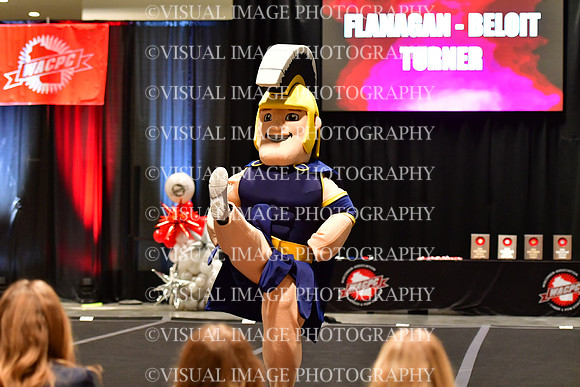 018_T8_33729