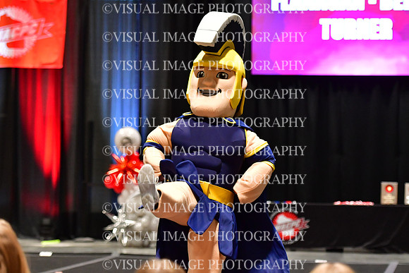 018_T8_33731