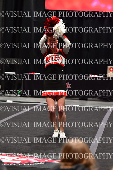 071_Badger_35862