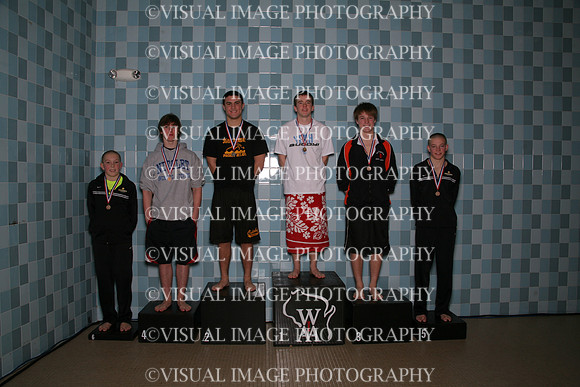 wisw10_dive_a201