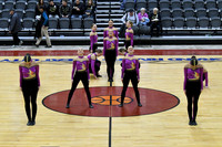 204_Pulaski_YP_4487
