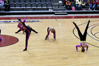204_Pulaski_YP_4490