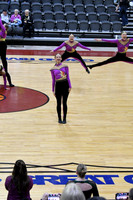 204_Pulaski_YP_4491