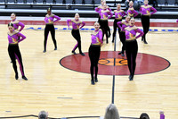 204_Pulaski_YP_4496
