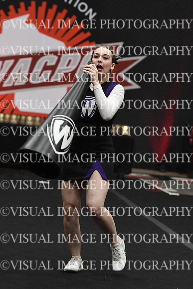 DSC_7619