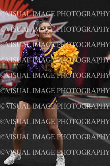DSC_8174