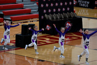 Sheboygan_Falls_Mini_Falcons_YP__347