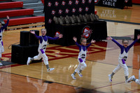 Sheboygan_Falls_Mini_Falcons_YP__348