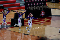 Sheboygan_Falls_Mini_Falcons_YP__350
