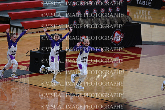 Sheboygan_Falls_Mini_Falcons_YP__350