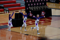 Sheboygan_Falls_Mini_Falcons_YP__351