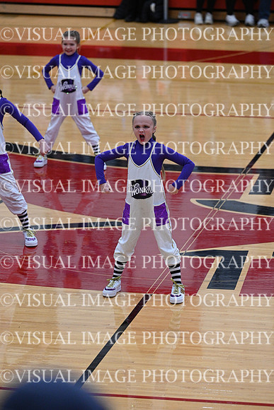 Sheboygan_Falls_Mini_Falcons_YP__380
