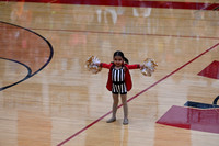 Stougthon_Mini_YP__3043