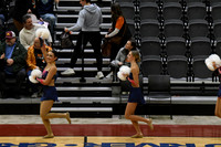 37_Whitnall_8903
