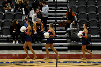 37_Whitnall_8905