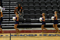 37_Whitnall_8906