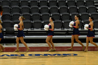 37_Whitnall_8907